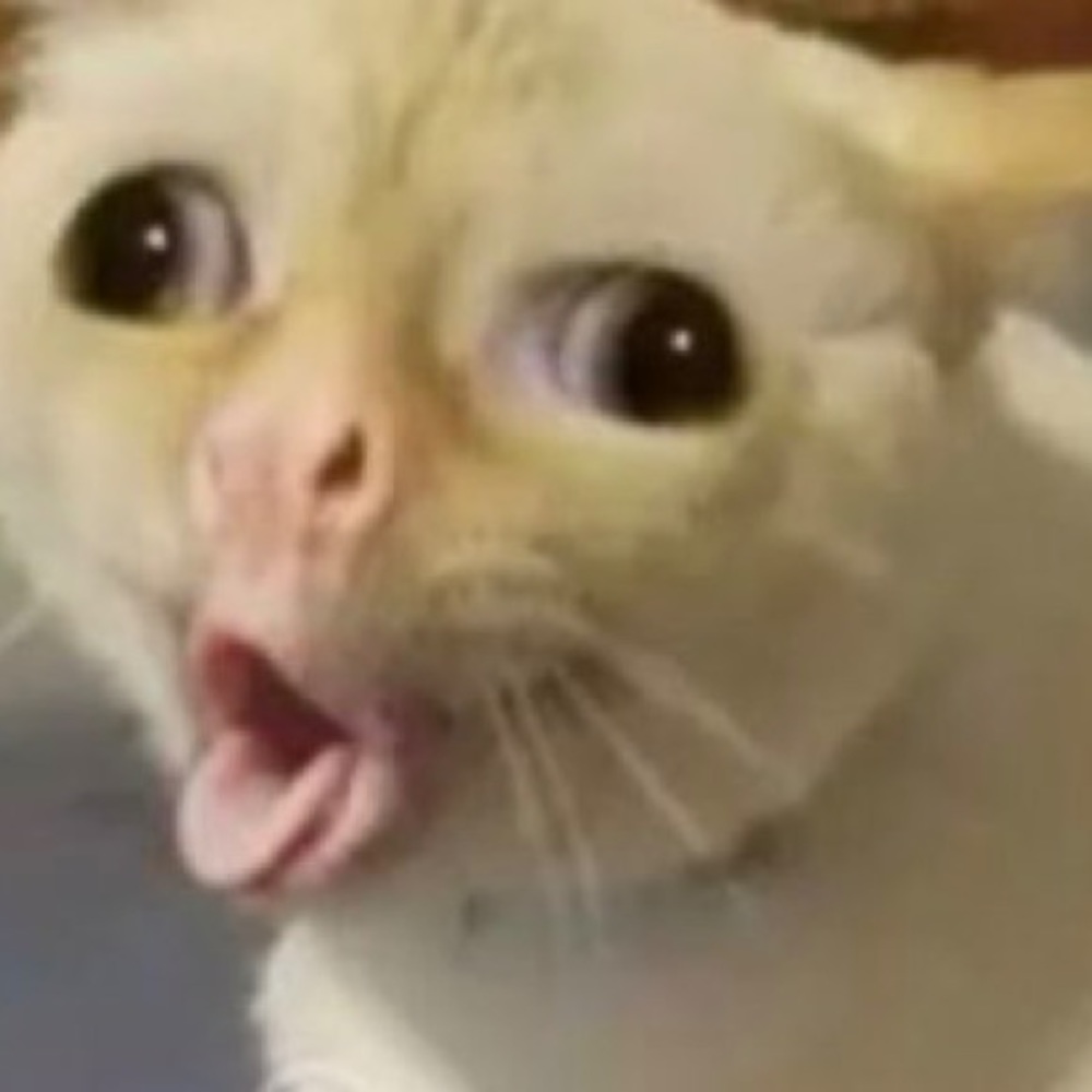 Meet your Posher, Amna